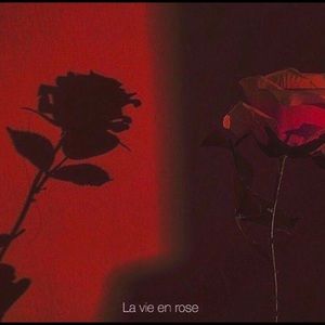 Meet your Posher, Malanni